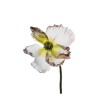 010_0448 Square 1x1