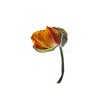 012_0491_1 Square