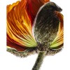 012_0534 Vertical