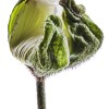 017_0762 Vertical Dittico 1/2