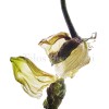 04_0096, Vertical