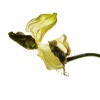 04_0097, Vertical
