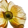 06_0252 Vertical